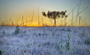 Serra Catarinense tem mínima de -5,9°C