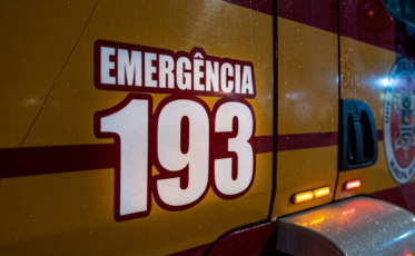 Incêndio atinge aviário em Nova Veneza