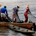 Seguro Defeso: R$ 874,5 milhões começam a ser pagos a pescadores de SC