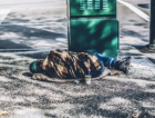 Criciúma tem 30 dias para apresentar plano sobre moradores de rua ao TCE