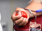 Hemosc faz apelo por doações de sangue e alerta para estoques baixos de três tipos sanguíneos