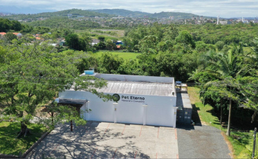 Pet Eterno transforma despedida de animais de estimação em homenagem repleta de afeto e acolhimento