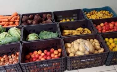 Programa de Aquisição de Alimentos beneficiará 200 famílias do município