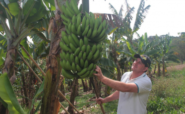 ‘Gestão Financeira e Tributária na Atividade Rural’ será tema de debate em Criciúma