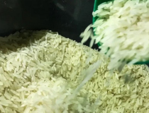 Crise no arroz: 'Alguém vai ficar sem receber no ano que vem', afirma presidente da Ocesc