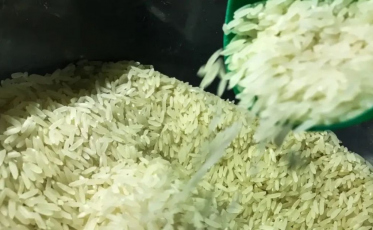 Crise no arroz: 'Alguém vai ficar sem receber no ano que vem', afirma presidente da Ocesc