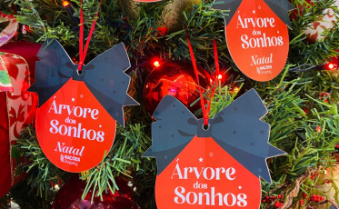 Árvore dos Sonhos leva magia do Natal para crianças da região de Criciúma