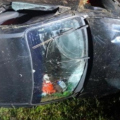 Ladrão foge com carro furtado, atropela cavalo e morre após capotamento em SC
