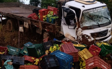 Caminhão carregado de bananas bate em poste na SC-447