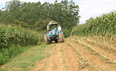 Orleans lidera na agricultura da região carbonífera