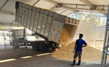 Faltando uma semana para abertura da AgroPonte Criciúma, montagem das estruturas está em ritmo acelerado