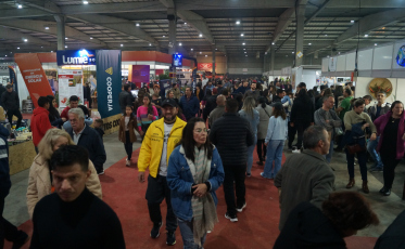 Mais de 100 mil abelhas sem ferrão estarão na AgroPonte; criação pode ser feita em casa 