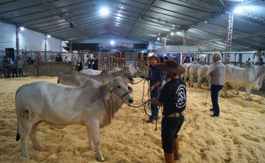 Consolidada como a maior feira do agronegócio de SC, AgroPonte encerra com recorde de público e negócios