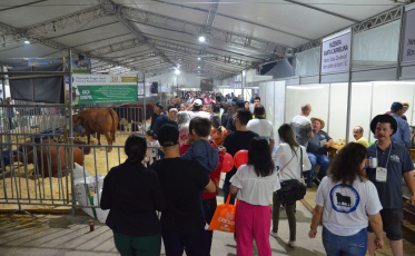 Ponte do rural para o urbano: AgroPonte terá mais de 700 animais em exposição