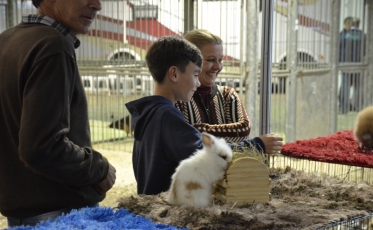 Uma AgroPonte inteira de curiosidades