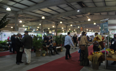 Tecnologia e inovação: AgroPonte gera conexão entre setores