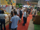 Feira AgroPonte 2025 apresenta atividades voltadas ao fortalecimento do setor agropecuário