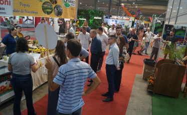 Feira AgroPonte 2025 apresenta atividades voltadas ao fortalecimento do setor agropecuário
