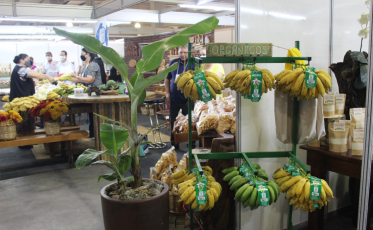 Estande de produtos orgânicos é uma das atrações da AgroPonte