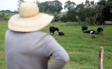 Plano Safra com R$ 14,3 bi para investimentos em SC