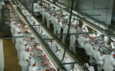 Agronegócio responde por 70% das exportações catarinenses em 2019