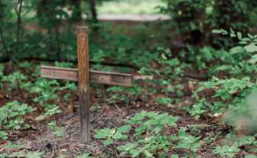 Projeto prevê que catarinenses possam enterrar familiares em casa; entenda