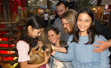 Quadrilha pet será atração do Arraial Solidário