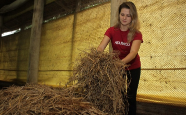 Plataforma de Criciúma resolve o descarte do lixo orgânico