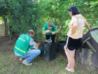 Larvas do aedes aegypti localizadas em Maracajá