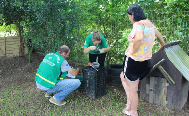 Larvas do aedes aegypti localizadas em Maracajá