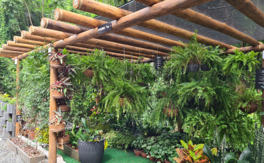 Dia do Meio Ambiente: Almeida Junior atinge marca de R$ 43,7 mi de economia em energia com ações de sustentabilidade 