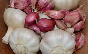 Bom momento para cebola e alho. Nem tanto para arroz e trigo