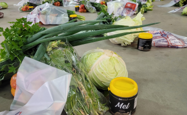 Agricultores familiares garantem alimentos a famílias em vulnerabilidade em Urussanga