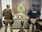 PRF apreende cocaína e crack que tinham Criciúma como destino