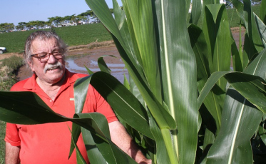 Agricultores esperançosos com a safra