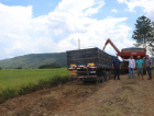 Começa a colheita do arroz em Nova Veneza