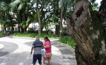 Mudas nativas são distribuídas no Parque Altair Guidi
