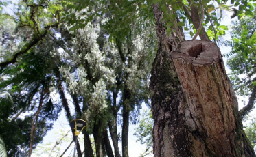 Contra novas quedas, cortes a partir do outono