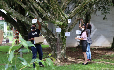 Forquilhinha ganha árvore de valores na praça dos Imigrantes Alemães