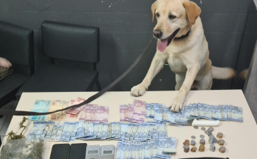  Após tentar fugir da PM, dupla é presa por tráfico de drogas em Criciúma