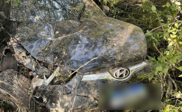 Sangão: Motorista morre após carro sair da pista, capotar e parar em meio às árvores