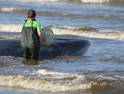 Autoridades ambientais continuam atuando no resgate da baleia em Jaguaruna