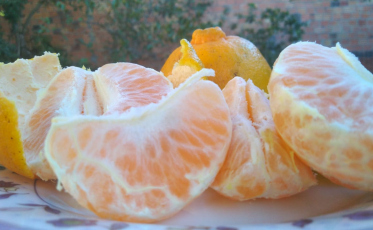 Dica da nutri: na quarentena fuja dos industrializados ultra processados