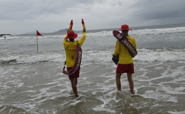 Janeiro registra mais de mil ocorrências com águas-vivas na região
