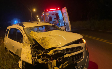 Motorista colide caminhonete em cavalo na SC-443