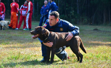 Cabo Matheus e Cão Bono reforçam buscas em Petrópolis