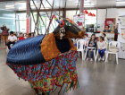 Unesc recebe escolas no 5º Encontro de Bois de Mamão