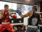Atletas do boxe de Criciúma disputam Cinturão de Ouro em Balneário Camboriú