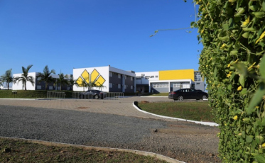 Tigre suspende reapresentação. FCF promove nova reunião