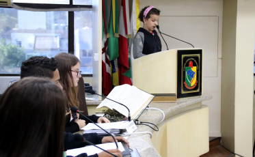 Educação e segurança em pauta na Câmara Mirim